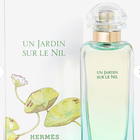 Hermès Parfums Un Jardin Sur Le Nil EDT 100 ml