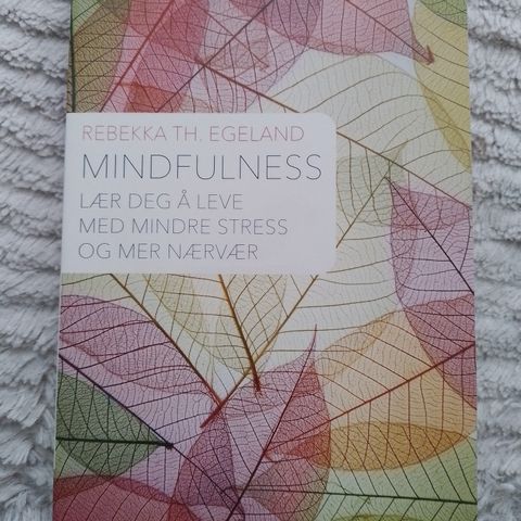 MINDFULNESS - Lær deg å leve med mindre stress og mer nærvær