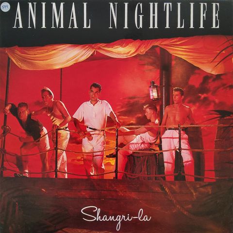 Animal Nightlife - Shangri-la