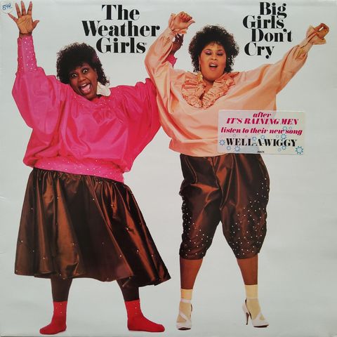 The Weather Girls - Big Girls Don't Cry