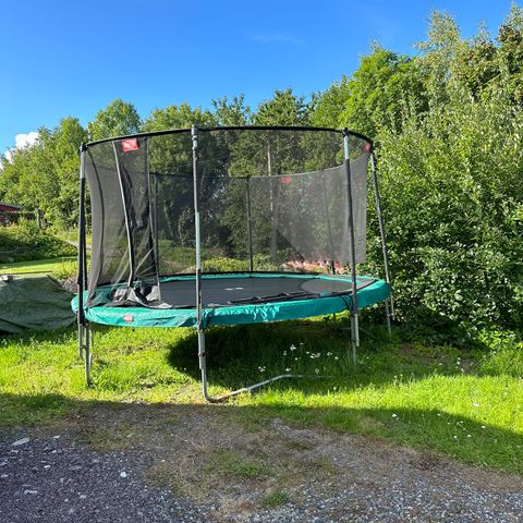 Berg champion trampoline