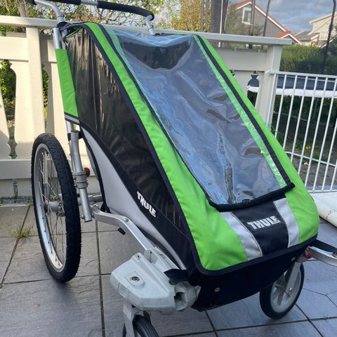 Thule cheetah 1