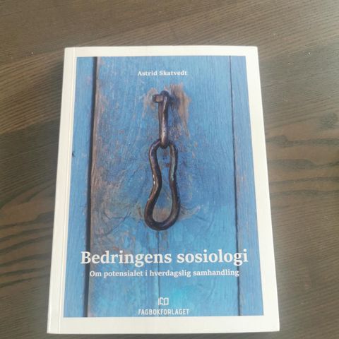 Bedringens sosiologi - Astrid Skatvedt