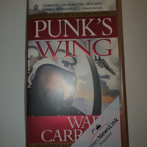 Punk's Wing. Ward Carroll