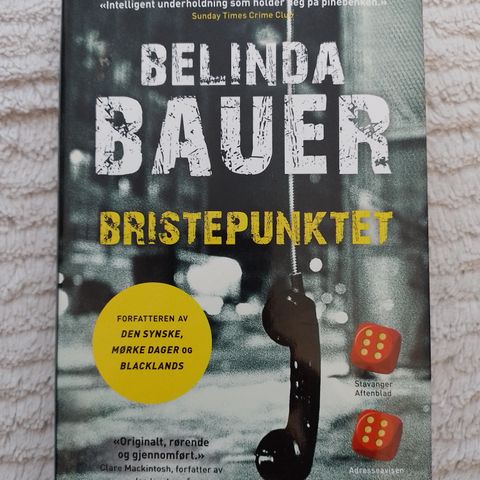 BRISTEPUNKTET - Belinda Bauer. TERNINGKAST 6!