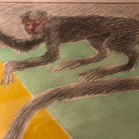 Monkey or Ape? Enklere på norsk - kun apekatt. Jon Henrik Gundersen 1990