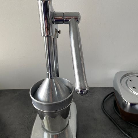 manual juicer hand press