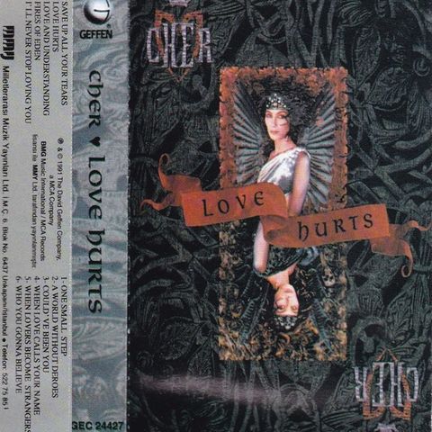 Cher - Love Hurts