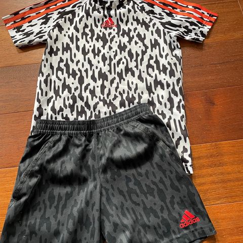 Adidas t- shirt og shorts