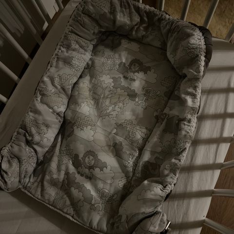 Hjemmesydd babynest