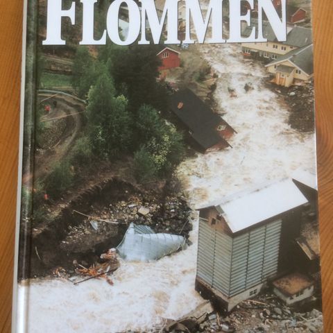 Flommen på Østlandet i 1995