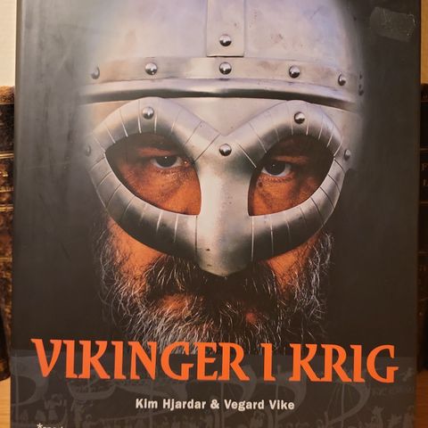 Vikinger i krig