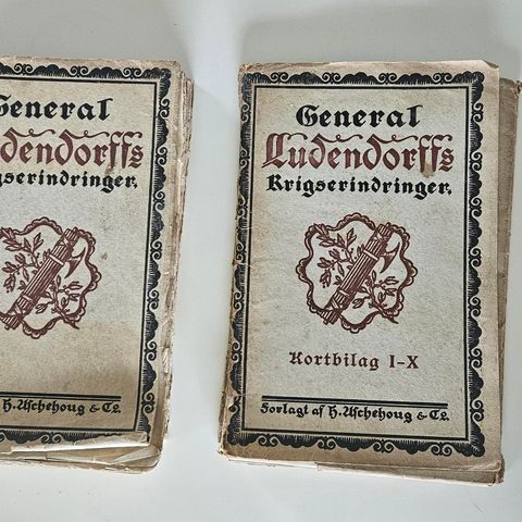 Ludendorffs krigserindringer (gammel bok)