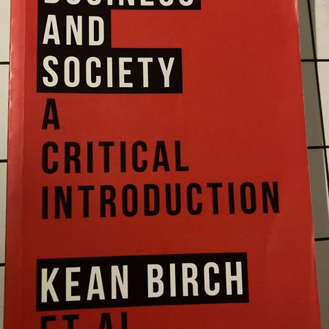 Business and society A critical introduction