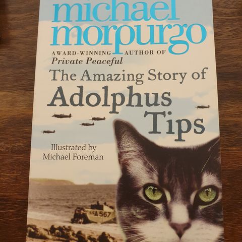 The amazing story of Adolphus Tips. Michael Morpurgo