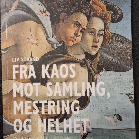 Fra kaos, mot samling, mestring og helhet.