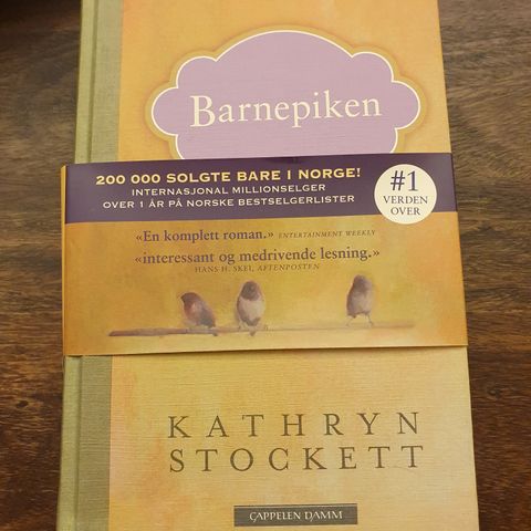 Barnepiken. Kathryn Stockett