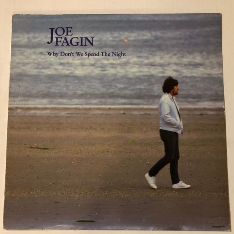 JOE FAGIN / WHY DON'T WE SPEND THE NIGHT - VINYL LP