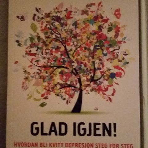 Kristian Hall-Glad igjen-Hvordan bli kvitt depresjon-Steg for steg 🌸🌿🌺🌿🌸