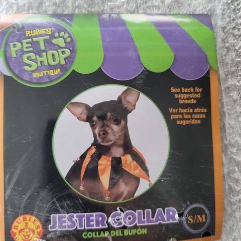 Jester Collar Halloween Hoffnarr halsbånd for katt og hund str S/M