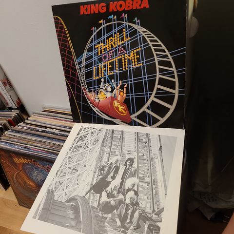 King Kobra thrill of a lifetime