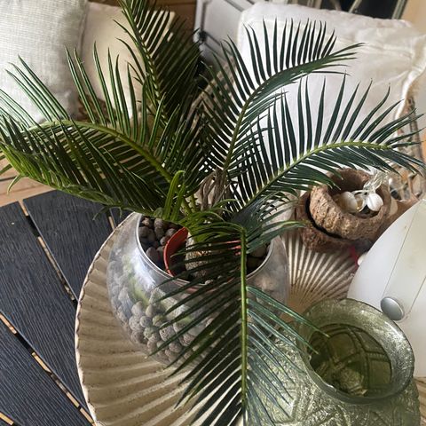Naturtro liten Palme .Kunstig plante.Boligsttyling ca 35 cm h