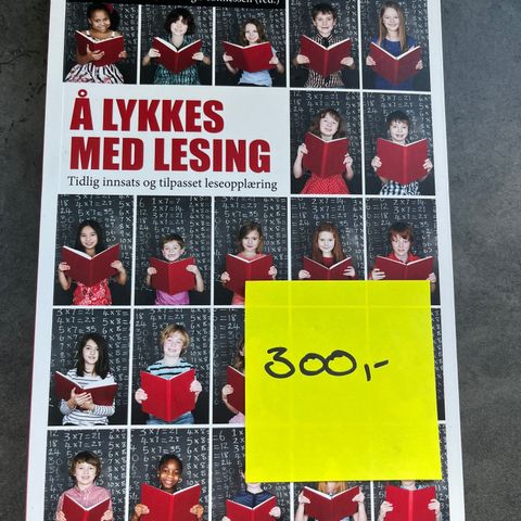 Å lykkes med lesing