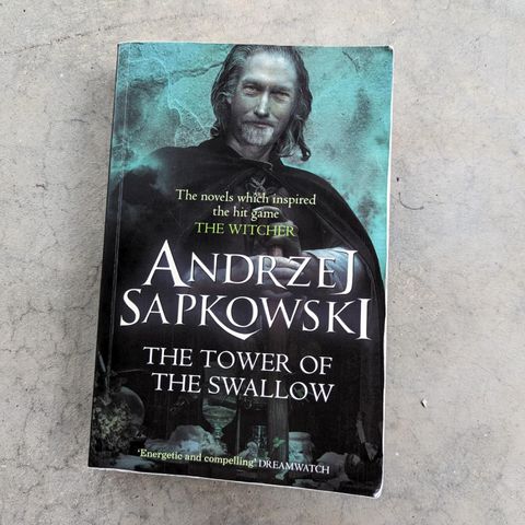 The Tower of the Swallow - Andrzej Sapkowski