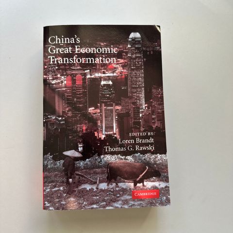 China’s great economic transformation