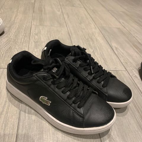 Lacoste sko str 36