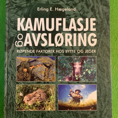 Erling E. Hægeland - Kamuflasje og avsløring. (2004)