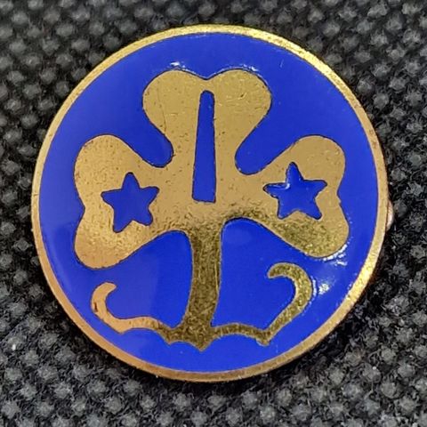 SPEIDER: Flott pin for verdensspeiderorganisasjonen WAGGS.