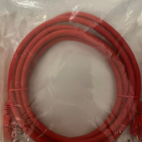 2m Cat 6