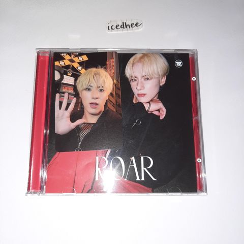 the boyz roar cd (eric)