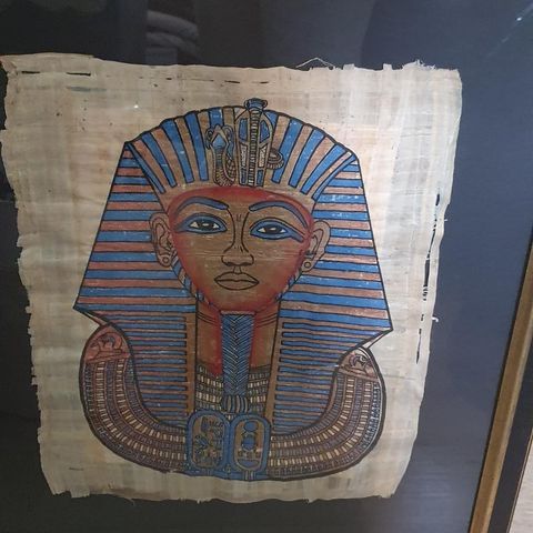 Egyptiske papyrus Bilder