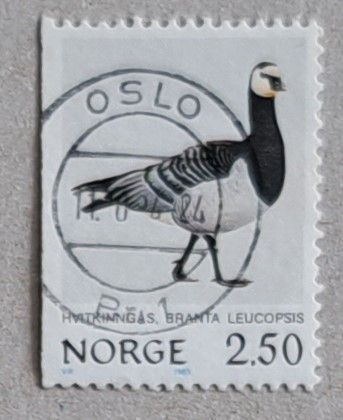 NK 931. Norske fugler IV. Hvitkinngås. Stemplet OSLO 11.10.86