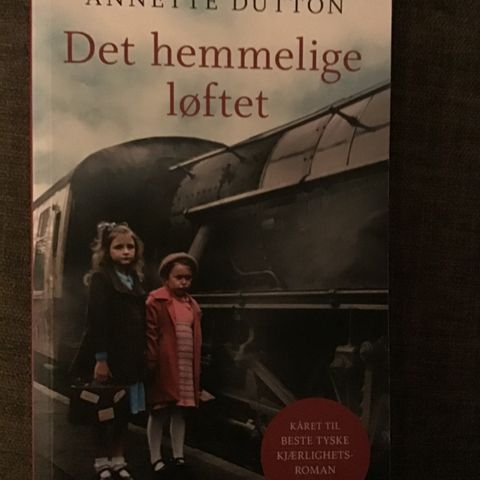 Pocketbok: Annette Dutton, Det hemmelige løftet