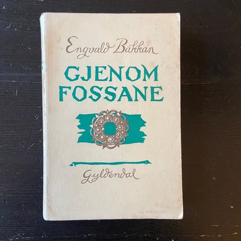 Engvald Bakkan - Gjennom fossane