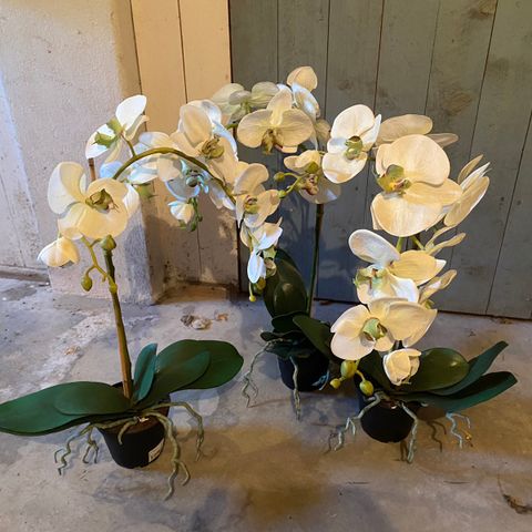 Kunstige orkideer 3 stykk