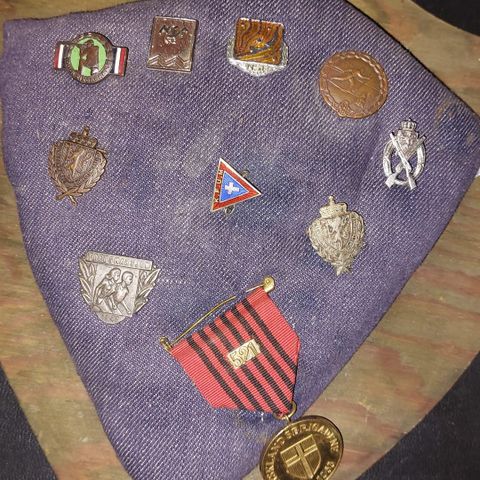 Pins og medalje