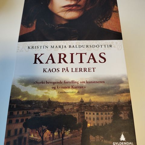 Kristin Marja Baldursdottir - Karitas , Kaos på lerret