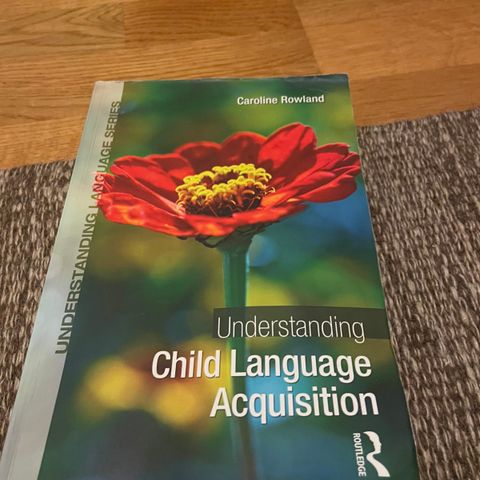 Understanding child language acquisition