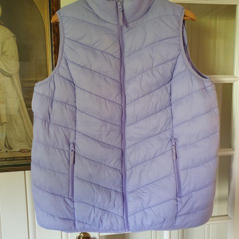 Zizzi vest