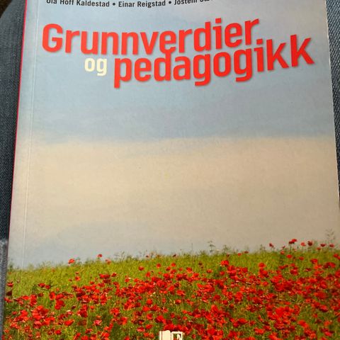 Grunnverdier og pedagogikk