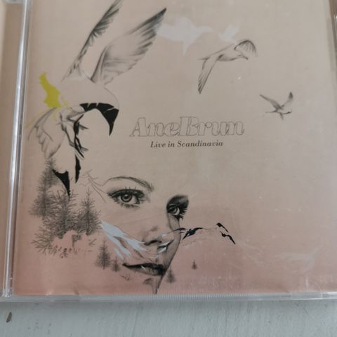 KR 5  CD ANE BRUN 2007