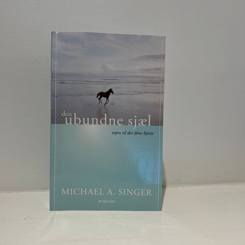 Selvhjelpsbok «Den ubudne sjæl» av Michael A. Singer