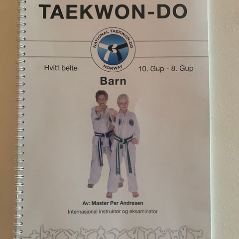 Taekwon-Do barn, 10-8 Gup