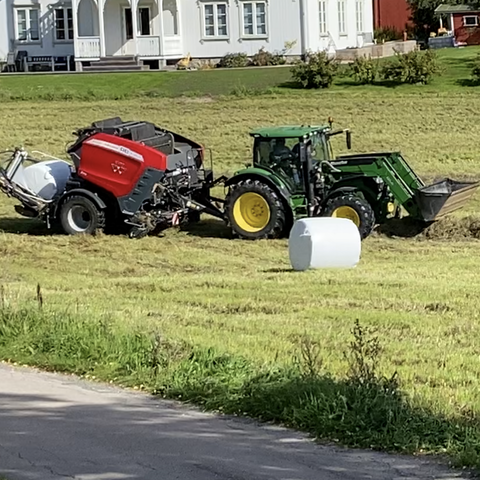 Ensilasje godt egnet til hest ca 80 baller igjen.