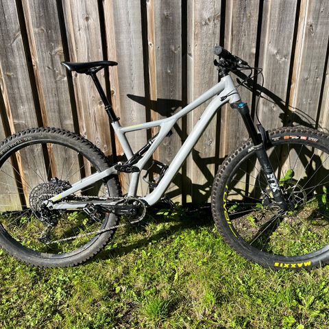 Specialized Stumpjumper Comp 2019 Large