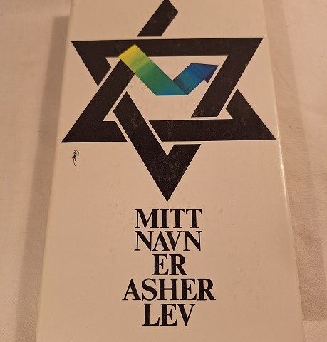 Mitt navn er Asher Lev – Chaim Potok